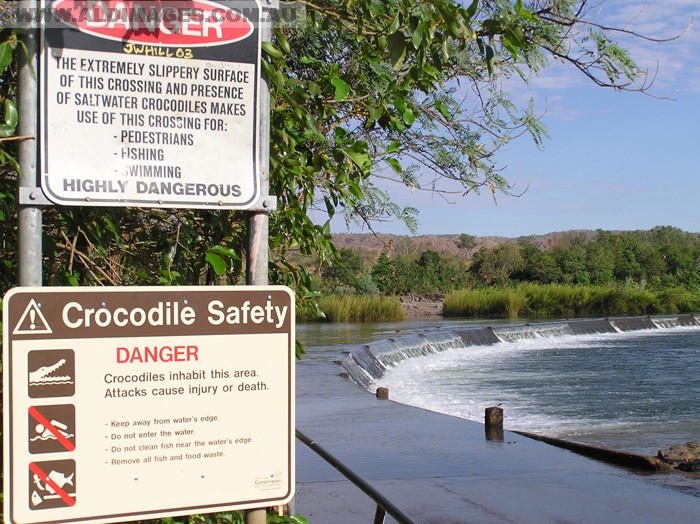 678x501 pixels (242K)